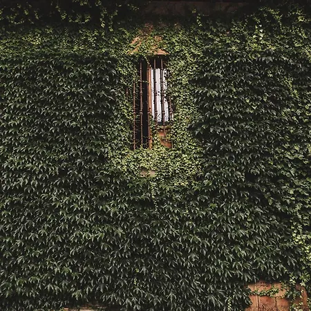 Convento San Roque Hotel